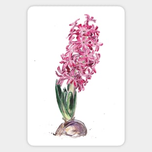 Hyacinth Magnet